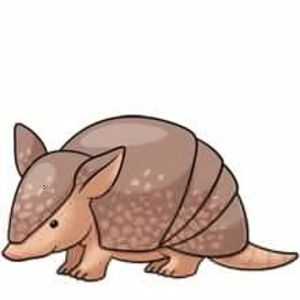 Armadillo Drawing, Cute Armadillo, Cute Animal Clipart, Cute Clipart, Kawaii Doodles, Cute Cartoon Drawings, Alphabetical Order, Cute Cartoon Animals, Related Images