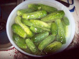 Baby Dill Pickle Recipe, Bucket Pickles, Pickles Homemade Easy, Roasted Vegetables Healthy, Making Dill Pickles, Refrigerator Pickles Dill, Refrigerator Pickle Recipes, Garlic Dill Pickles, Dill Pickle Recipe