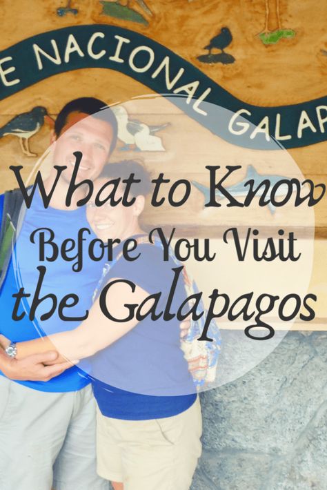 What to Know Before You Visit the Galapagos San Cristobal Galapagos, Galapagos Islands Travel, Galapagos Ecuador, Galapagos Islands, Anniversary Trips, Future Travel, Vacation Places, Life Is An Adventure, Archipelago