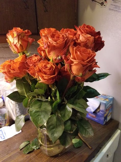 Pretty burnt orange roses! Burnt Orange Roses, Burnt Orange Aesthetic, Academia Wedding, Dark Academia Wedding, Friend Aesthetic, Future Office, Couple Stuff, Couple Romance, Rosé Aesthetic