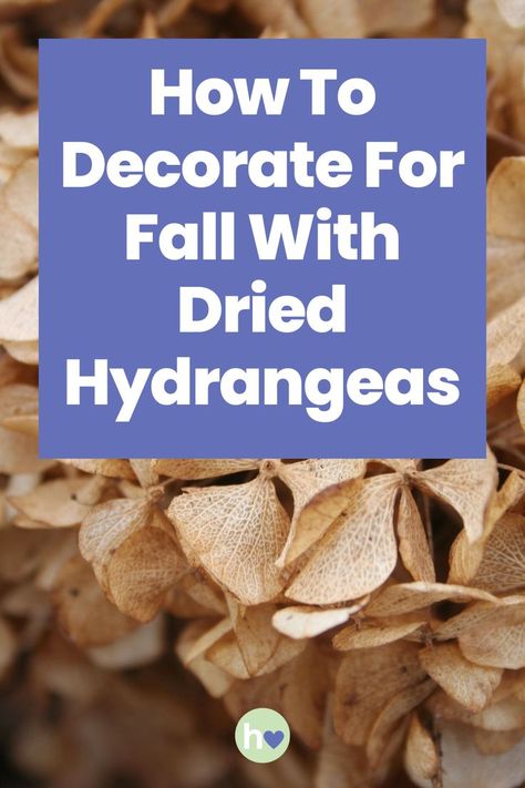 Discover creative ways to decorate for fall with dried hydrangeas, from wreaths to centerpieces, and bring a warm, cozy autumn feel to your home. Dried Hydrangea Garland, Dried Hydrangea Christmas Decor, Decorating With Dried Hydrangeas, Dried Hydrangeas Decor Ideas, Dried Hydrangea Arrangements, Dried Hydrangeas Centerpiece, Dry Hydrangea Arrangements, Wreath With Hydrangea, Hydrangea Shade