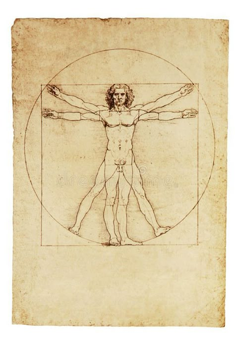 Vitruvian Man Tattoo, Man Editorial, Da Vinci Vitruvian Man, Kunst Tattoos, Vitruvian Man, Best Tattoo Designs, Famous Art, Classical Art, Anatomy Art