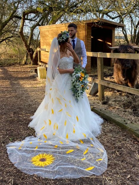 Sunflowers will add colour to a wedding.  These veils show howcolour will make you look WOW on your special day. #weddingveil #veil #colouredveil #paintedveil #sunflowerwedding #sunflowerweddingidea #uniqueveil #floralweddingidea
Celebrant @swancelebrancy
Photography @cherishedphotographybyclaudia
Cakes @genscakeshed 
Hair @gemmaharrishairdesign 
Models @hannah_olivia18 @luketh246 
Stationary @coastalweddingco using 
@botanicalsilkribbons @littleaddedtouches
Venue Sunflower Park Camping Site, Sunflower Wedding Dress The Bride, White Sunflower Wedding Dress, Sunflower Wedding Veil, Sunflower Veil, Sunflower Wedding Vail, Sunflower Wedding Dress, Wedding Hairstyles With Sunflowers, Wedding Hair Sunflower, Wedding In Sunflower Field