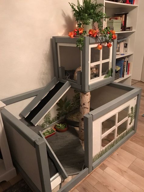 Bunny Habitats Indoor, Bunny Diy House, Rabbit Corner Ideas, Bunny Corner Ideas, Cute Bunny Cage Ideas, Bunny House Diy, Bunny Habitat Indoor, Cute Bunny House, Bunny Set Up Indoor Cute