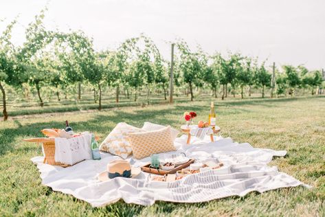 Photography: http://www.sarahpascutti.com/ | Read More: https://www.stylemepretty.com/2016/09/24/the-sweetest-picnic-proposal/ Vineyard Picnic Photoshoot, Vineyard Branding, Engagement Set Up Ideas, Proposal Photoshoot Ideas, Proposal Ideas Simple, 21st Birthday Party Themes, Surprise Proposal Photoshoot, Picnic Proposal, Pop Up Picnic