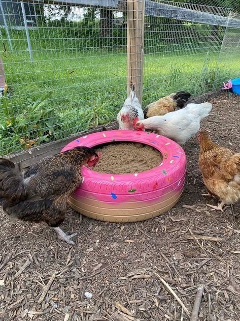 #backyardchickens #dustbath #chickenruns #dirtbath #pinktire Cute Chicken Coops, Chicken Coop Garden, Chicken Pen, Backyard Chicken Coop Plans, Diy Chicken Coop Plans, Chicken Coop Run, Backyard Chicken Farming, Raising Backyard Chickens, Chicken Coop Designs