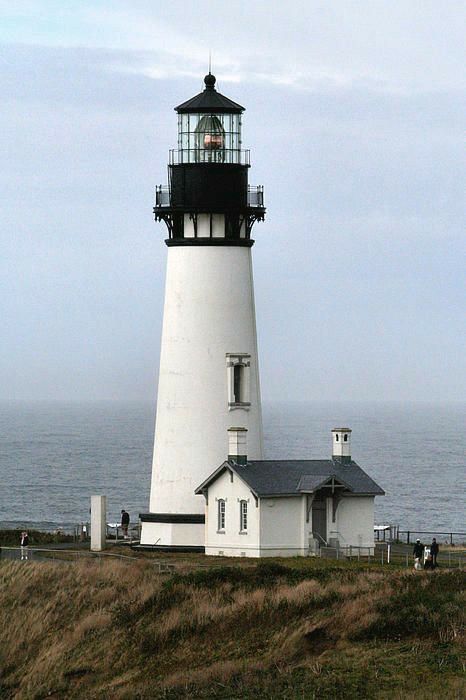 White Lighthouse, Newport Oregon, Lighthouses Photography, Lighthouse Tattoo, Lighthouse Photos, Lighthouse Keeper, Lighthouse Painting, Lighthouse Pictures, Lighthouse Art