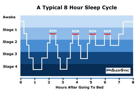 This is a similar chart that we saw in class today about the sleep cycles. Sleep Cycle Chart, Go To Sleep Early, Rem Sleep Cycle, Can Not Sleep, Sea Ship, Degree Design, Rem Sleep, Sleep Early, Wake Up Early