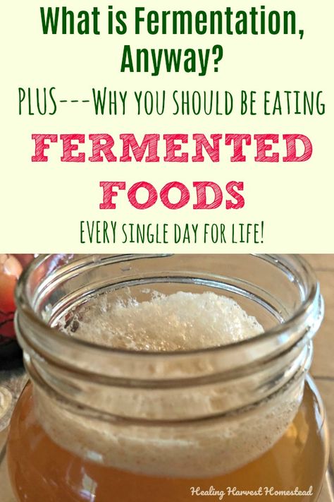 Fermented Vegetables Recipes, Fermented Foods Benefits, Fermented Recipes, Tomato Nutrition, Fermented Pickles, Calendula Benefits, Food For Digestion, Fermentation Recipes, Lemon Benefits