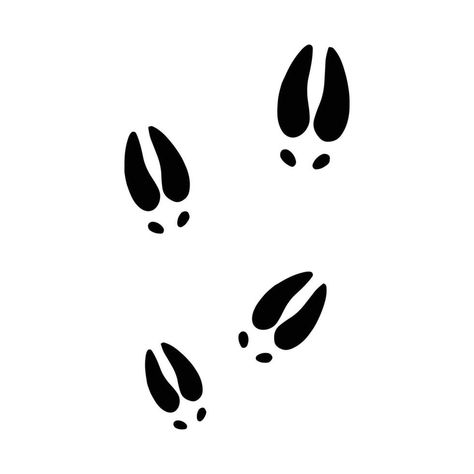 Download the deer footprints drawing 50593532 royalty-free Vector from Vecteezy for your project and explore over a million other vectors, icons and clipart graphics! Mouse Footprint, Easy Deer Drawing, Deer Footprint, Deer Vector, Deer Drawing, Hoof Print, Deer Illustration, Logo Banners, Cityscape Photos