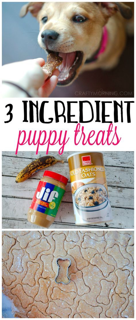 This 3 ingredient puppy treat recipe was a HIT with my dog!! They used peanut butter, banana, and oats. A healthy alternative. 3 Ingredient Dog Treats, Bananas Recipes, Homemade Dog Cookies, Animal Treats, Dog Biscuit Recipes, Dog Treats Homemade, Doggie Treats, Diy Dog Treats, Puppy Treats