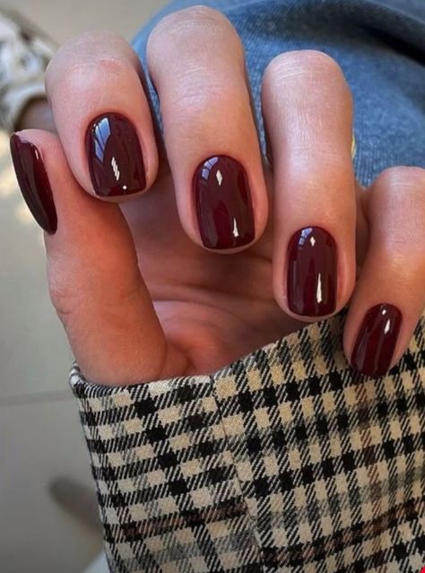 Dark Red Brown Nail Polish, Shellac Nails Fall Autumn, Deep Merlot Nails, Burgundy Biab Nails, Maroon Shellac Nails, Dark Red Squoval Nails, Deep Red Short Nails, Mulled Wine Nails, Professional Acrylic Nails For Work