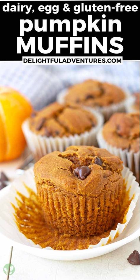 A muffin on a plate,t he wrapper has been peeled back, text says dairy, egg, and gluten-free pumpkin muffins. Vegan Pumpkin Chocolate Chip Muffins, Pumpkin Cake Mix Muffins, 2 Ingredient Pumpkin Muffins, Pumpkin Cake Mix, Chocolate Pumpkin Muffins, Spice Cake Mix And Pumpkin, Cake Mix Muffins, Pumpkin Banana Bread, Pumpkin Muffin Recipes