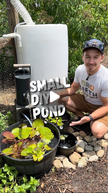 Philip Longo | Your Gardening Coach on Instagram: "This is a small pond anyone can create for their garden.   I’ve always wanted a water feature in my garden, and a source of filtered water for my chickens. So, I decided why not do both in the same build! I found these whiskey barrel planters from the big box store, sealed up the holes with some waterproof pool tape, and got the solar powered pump from poposoap on Amazon.  Now, instead of having stagnant water sitting inside of a rain barrel, the water is circulated through the pond, where it gets filtered naturally by the plants, and back. You don’t have to be extra like me and hook your pond up to a rain barrel. You could do a simple setup where the pump circulates the water with various splashing features. Whatever you decided to do, I Homemade Pond Filter, Rain Water Barrel, Barrel Fountain, Whiskey Barrel Planter, Stagnant Water, Pond Covers, Barrels Diy, Water Barrel, Diy Pond