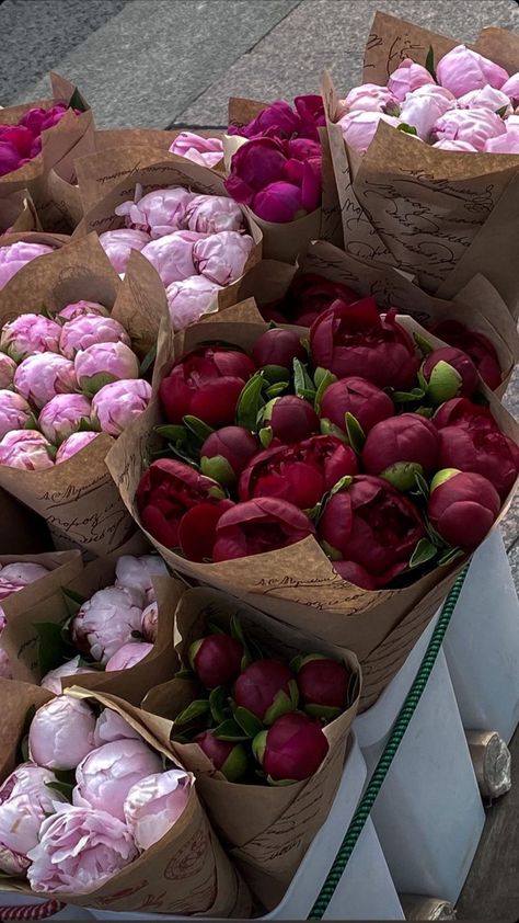 peony pink and deep pink colors Boquette Flowers, Nothing But Flowers, Flower Therapy, Peonies Bouquet, Beautiful Bouquet Of Flowers, Luxury Flowers, Types Of Flowers, Beautiful Bouquet, Love Flowers