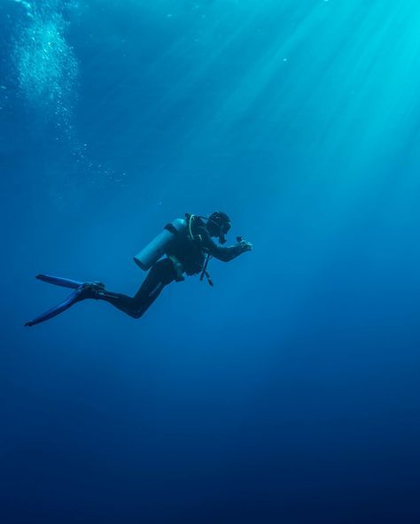 Scuba Diving Photography Underwater, Scuba Diver Photography, Scooba Diving Aesthetic, Scuba Diver Aesthetic, Scooba Diver, Scuba Aesthetic, Diver Aesthetic, Scooba Diving, Diving Wallpaper