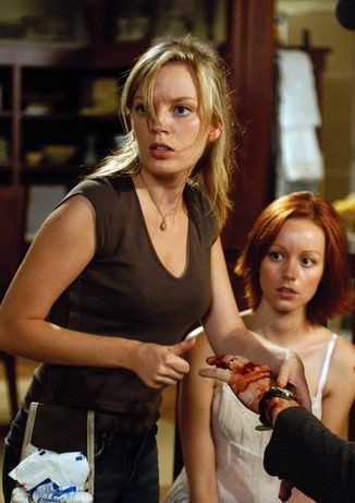 Lindy Booth, Sarah Polley, Dawn Of The Dead, The Dead, Good Movies, Carpet, Google Search, Fan, Film