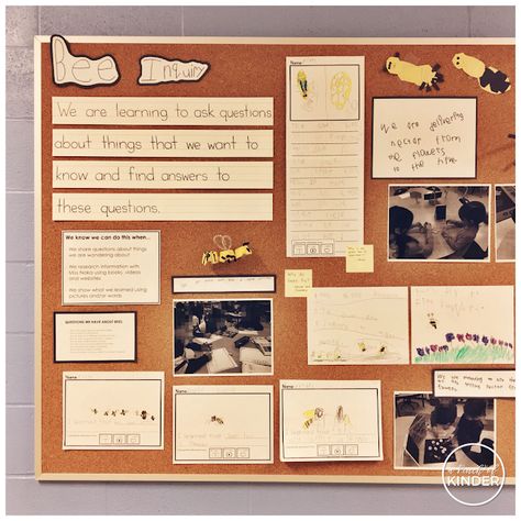 Inquiry: Bees - A Pinch of Kinder Bee Inquiry Kindergarten, Bees Kindergarten, Bee Inquiry, Reggio Preschool, Kindergarten Inquiry, Bee Project, Kindergarten Bulletin Boards, Mini Beasts, Bee Activities