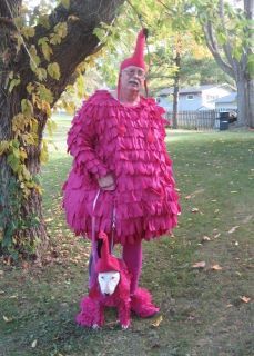 Pink flamingo!! Lol Flamingo Suit, Dog Costume Ideas, Flamingo Halloween, Costume Ideas For Halloween, Flamingo Costume, Flamingo Decor, Me And My Dog, Poor Dog, Ideas For Halloween