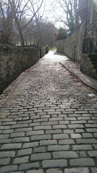 Holyrood - cobbled road Diaroma Ideas, Stone Road, European Village, Brick Road, Reclaimed Brick, Street Design, Garden Layout, Wizard Of Oz, Animal Tattoos