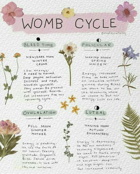 Natural Cycle Tracking, Menstruation Spiritual, Cycle Syncing Journal, Cycle Tracking Menstrual Journal, Menstrual Affirmations, Womb Herbs, Womb Cycle, Tracking Cycle, Womb Meditation