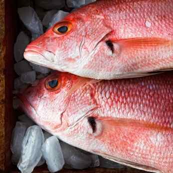 Red snapper Pappadeaux Recipe, Grilled Snapper, Red Snapper Recipes, Fish Batter Recipe, Snapper Recipes, Gluten Free Fish, Eating Fish, Recipes Restaurant, Cajun Food