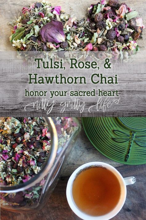 Honor your sacred heart with this tulsi, rose, and hawthorn chai. This warming, relaxing blend of herbs and traditional chai spices will soothe and protect. Traditional Chai, Wild Rose Detox Recipes, Tea Blends Recipes, Tulsi Tea, Chai Spices, Voodoo Magic, Healing Tea, Foraged Food, Homemade Tea