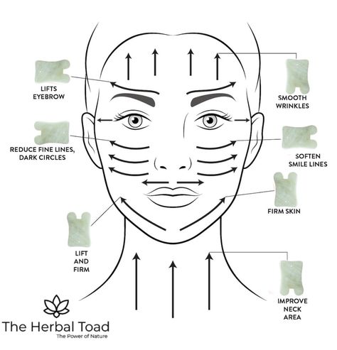 Benefits and Technique for Gua Sha Facial - The Herbal Toad Gus Sha, Use Gua Sha, Face Massages, Skin Therapist, Gua Sha Massage, Gua Sha Facial, Gua Sha Tools, Facial Exercises, Jade Roller