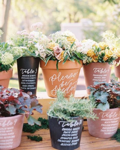 7 Creative Ways To Use Potted Plants In Your Wedding Decor Plant Seating Chart Wedding, Flower Pot Seating Chart, Plant Seating Chart, Calabria Wedding, Wedding Plants Decor, Card Displays, Card Table Wedding, Reception Signs, Martha Stewart Weddings