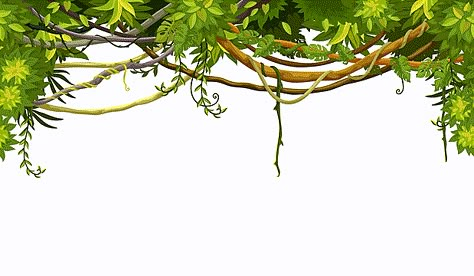 Jungle Images, Miss You Images, Vine Font, Premium Vector Cartoon, Images Cartoon, Leaves Png, Spring Leaves, Waves Icon, Nature Leaves