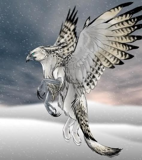 Snow Griffin Gryphon Art, Mystical Animals, Mythical Beasts, Mythical Animal, Fantasy Beasts, Legendary Creature, Fantasy Animals, Fantasy Creatures Art, Mythical Creatures Art