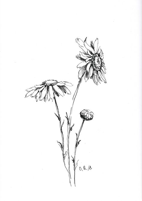 Daisy Sketch, Daisy Flower Drawing, Daisy Drawing, Pencil Drawings Of Flowers, Pen Art Work, Sunflower Drawing, Daisy Tattoo, Daisy Painting, Flower Sketches