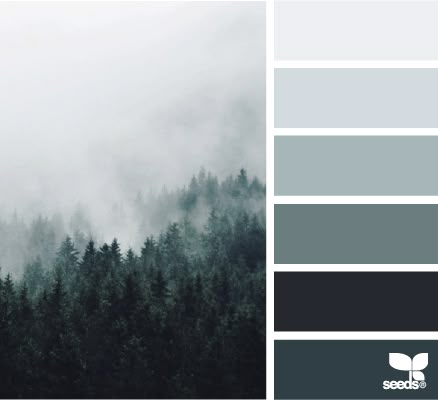 color fog | design seeds | Bloglovin Fog Images, Seeds Color, Foggy Forest, Design Seeds, The Fog, Gray Design, Paint Schemes, Living Room Colors, Green Design