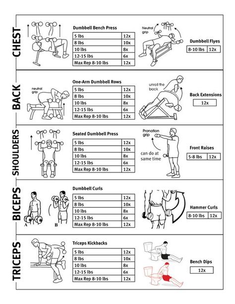 Here's a great upper body exercise routine to get you in shape! Upper Body Workout Plan, Full Ab Workout, Full Upper Body Workout, Upper Body Workout Routine, Body Workout Routine, Weight Routine, Workout Plan For Men, Work Out Routines Gym, At Gym