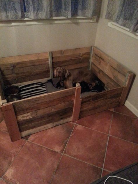 Cat Birthing Box Ideas, Welping Box Ideas Puppies, Welping Box Ideas Diy Dog, Whelping Box Ideas, Welping Box, Dog Breeding Kennels, Dog Whelping, Dog Whelping Box, Puppy Box