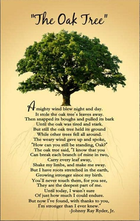 Oak Tree Poem, Words For Sympathy Card, Scripture Painting, Tree Poem, Meaningful Poems, Tree Quotes, Great Poems, Childrens Poetry, Amazing Inspirational Quotes