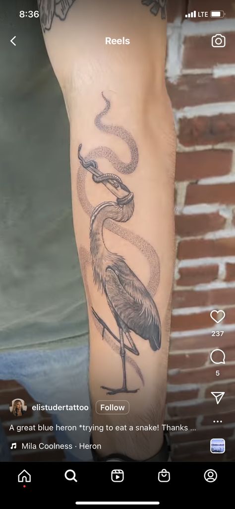 Heron Forearm Tattoo, Heron Back Tattoo, Grey Heron Tattoo, Heron Tattoo, Wrap Tattoo, Grey Heron, Back Pieces, Forearm Tattoo, Tattoo Idea