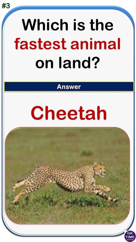 fastest animal on land || GK Knowledge || GK in English for Kids || GK ||General Knowledge || GK Quiz || GK Questions and Answers || GK Questions || GK TIME || GK Knowledge in English || Gk Knowledge In English For Kids, Gk Questions And Answers In English For Kids, Gk Questions For Class 1, Gk Knowledge In English, Gk English, Gk In English, Diary Writing Ideas Personal, General Knowledge For Kids, Summer Worksheets