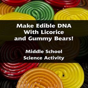 Function & Structure of DNA: Create Models Out of Candy! Middle School Science Lesson Biology Lesson Plans, Dna Science, Science Lessons Middle School, Middle School Science Activities, Middle School Lesson Plans, 7th Grade Science, 8th Grade Science, Science Lesson, 6th Grade Science