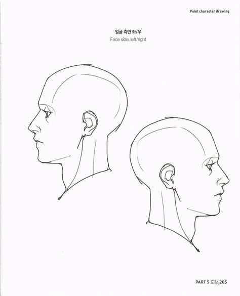 Head Side View, Side View Of Face, Head Proportions, Anatomy Lessons, Comic Face, Manga Drawing Tutorials, Drawing Heads, Human Anatomy Art, Human Drawing