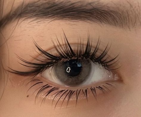 Long Lash Aesthetic, Beautiful Natural Eyelashes, Korean Siren Eyes, Cat Eye Shape Natural, Thick Eyelashes Aesthetic, Eyelashes Extensions Aesthetic, Long Black Eyelashes, Lashes Wispy Volume, Long Lashes Natural Aesthetic