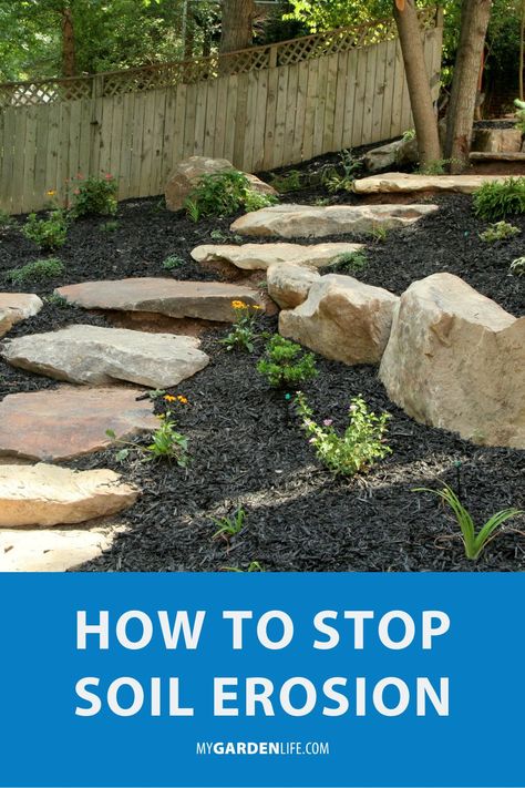 Plants For Soil Erosion, Backyard Erosion Control, Yard Erosion Landscaping Ideas, Landscaping To Prevent Erosion, Yard Erosion Solutions, Soil Erosion Prevention, How To Stop Erosion On A Slope, Stop Erosion On Slope, Plants For Hillside Erosion Control