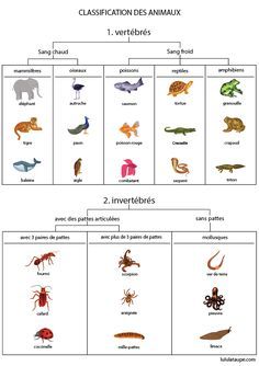 Petite Section, Montessori, Science, Quick Saves