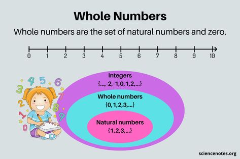 Whole Numbers - Definition and Examples in Math Whole Numbers Definition, Associative Property, Negative Integers, Class 12 Maths, Natural Number, Rational Numbers, Whole Numbers, Counting Numbers, Number System