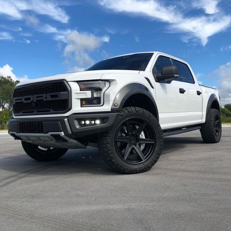 White Ford Raptor, White Ford Truck F150, Ford Raptor White, White Ford Truck, Mustang Car Aesthetic, Ford F150 Custom, 2006 Ford Ranger, Ford Bronco Raptor, Bronco Raptor