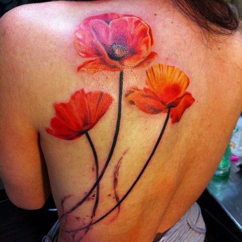 Beautiful red poppies tattoo on back State Flower Tattoo, Poppy Tattoo Meaning, Ca Poppy, Watercolor Poppy Tattoo, Red Poppy Tattoo, California Poppy Tattoo, Cool Little Tattoos, Poppy Tattoos, Flowers Meanings