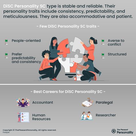 A DiSC personality SC type is known as the Stabilizer. They are stable, consistent, careful, diplomatic, and systematic. Also, they are modest, accommodating, and obliging. Disc Personality, Disc Assessment, Plate Ideas, Best Careers, Personality Type, Personality Traits, Personality Types, Losing You, Coaching Business