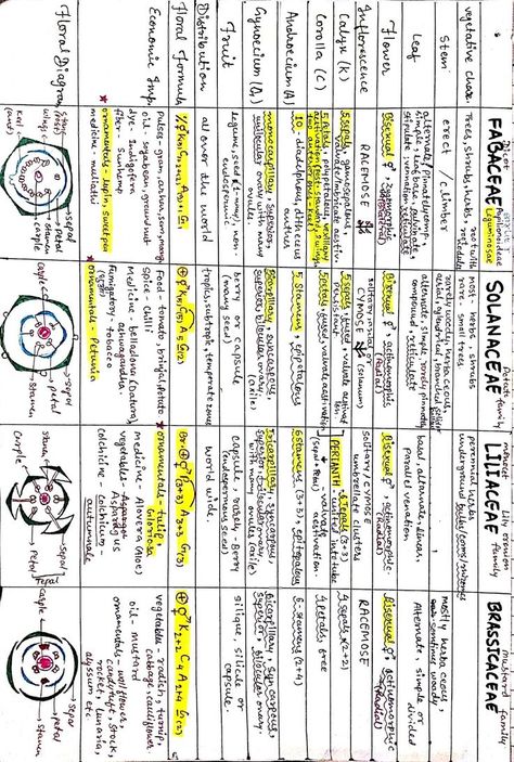 Plant Growth Regulators Notes, Morphology Of Flowering Plants Mind Map, Plant Families Chart, Human Health And Disease Notes Neet, Cockroach Notes Neet, Biology Short Notes For Neet, Respiration In Plants Notes Class 11, Morphology Of Flowering Plants Notes For Neet, Neet Biology Flashcards