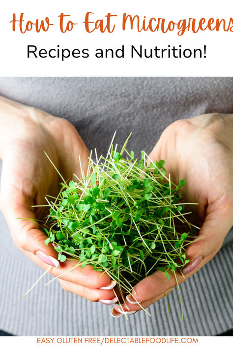 woman holding microgreen salad Microgreens Recipe Ideas, Micro Greens Recipe, Uses For Microgreens, How To Use Microgreens, How To Eat Microgreens, What Are Microgreens, Health Benefits Of Microgreens, Radish Microgreens, Microgreens Garden