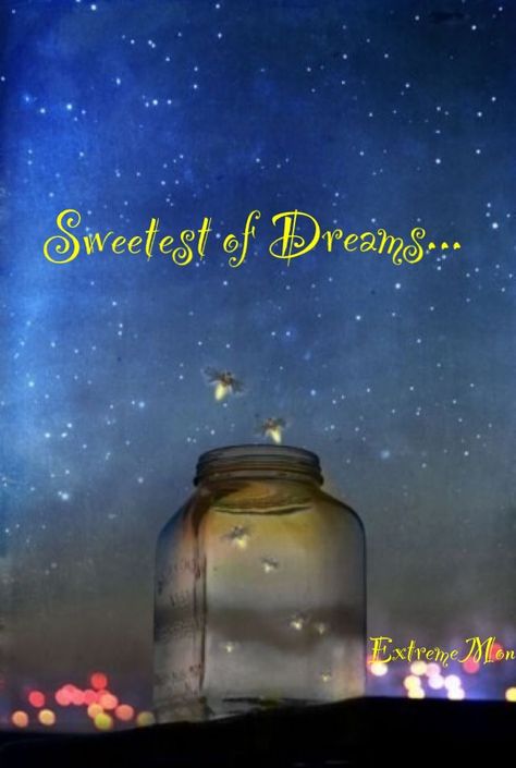 Goodnight, Sweet Dreams and I LOVE YOU!!! Catching Fireflies, Stars In The Sky, Foto Art, Back To Nature, Laura Lee, Pics Art, Rumi, Firefly, Glass Jar